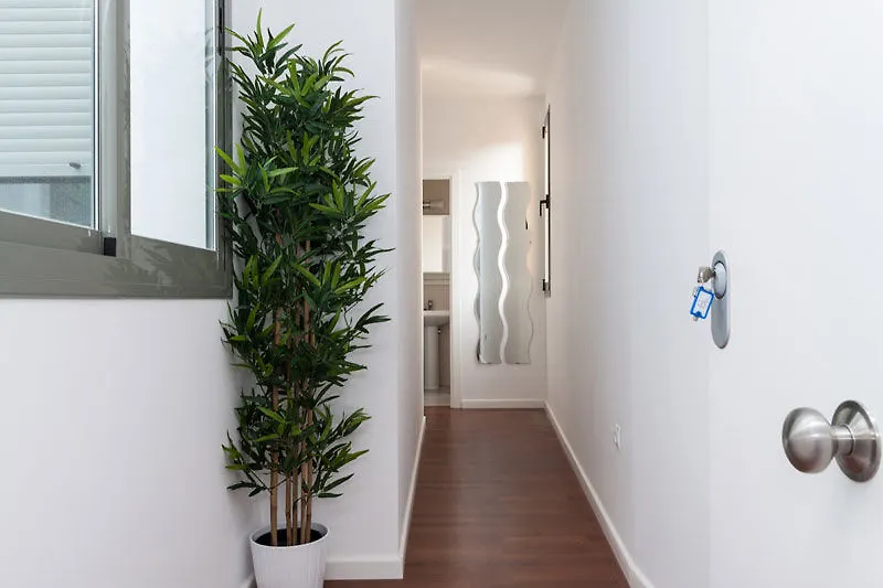 Hotel Feelathome Merced Apartments Malaga